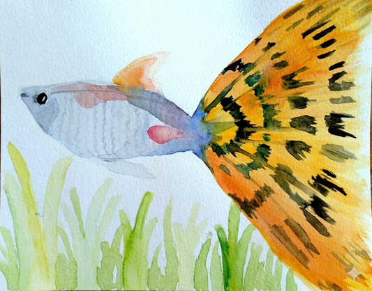 Watercolour Painting: The Golden Guppy